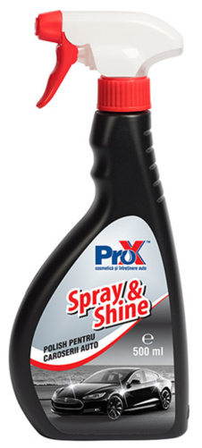 SPRAY & SHINE POLISH